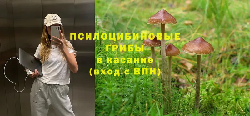 Галлюциногенные грибы MAGIC MUSHROOMS  Тюкалинск 